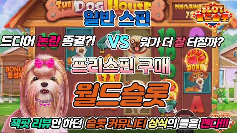 일반스핀 VS 프리구매 어떤것이 좋을까?