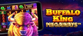 [슬롯커뮤니티] [월드슬롯] TOP3. 버팔로킹 메가웨이 (Buffalo King Megaways)